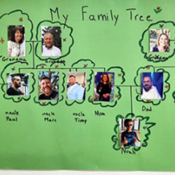 Family trees: grade 1!