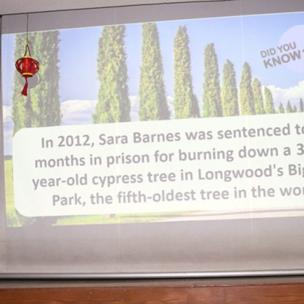 "Today is a Great Day to Learn Something New!"