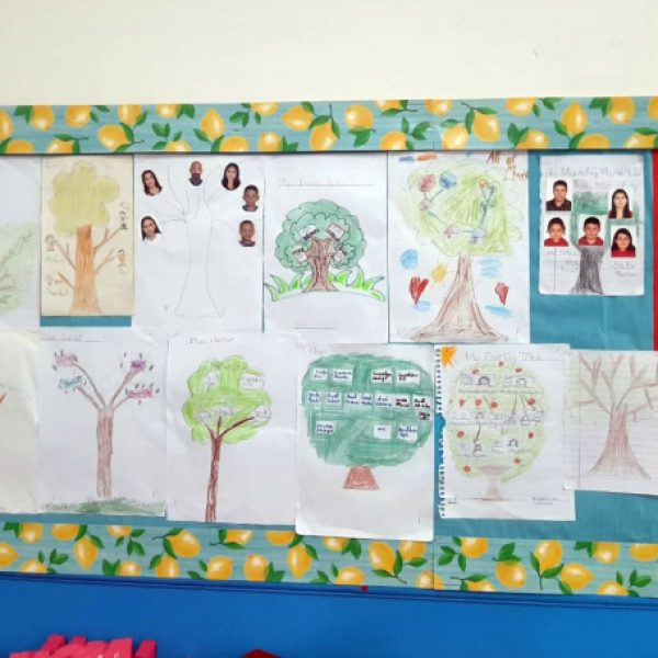 Family trees: grade 1!