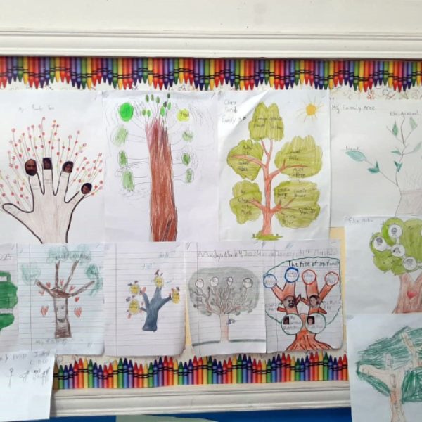 Family trees: grade 1!