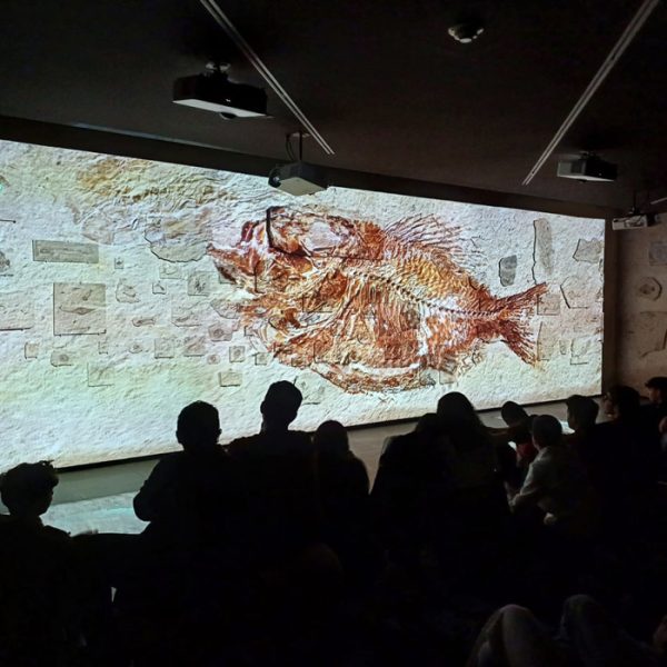 Double Decker Bus Tour of Beirut