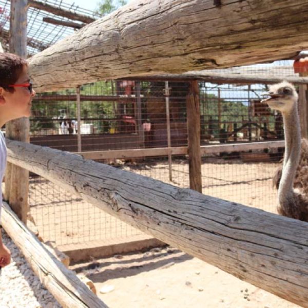 re_20240612091709-8f14e45fceea167a5a36dedd4bea2543