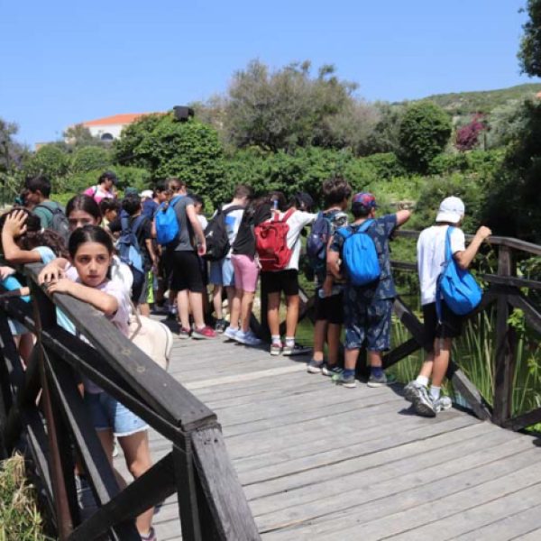 re_20240612091710-70efdf2ec9b086079795c442636b55fb