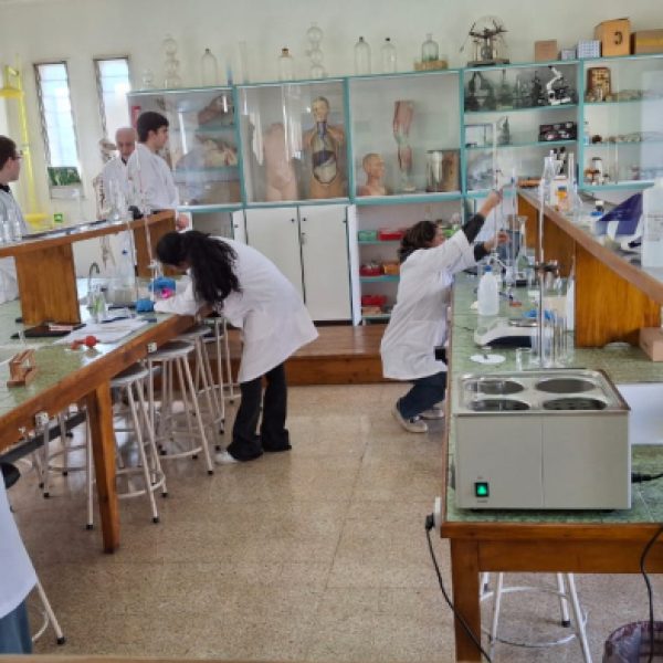 re_20250203072654-c4ca4238a0b923820dcc509a6f75849b