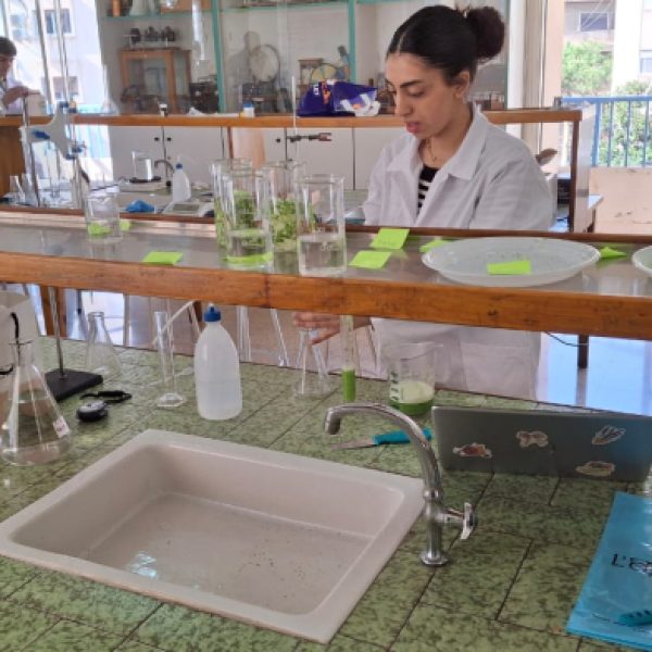 re_20250203072654-eccbc87e4b5ce2fe28308fd9f2a7baf3