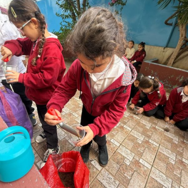 re_20250210075223-cfcd208495d565ef66e7dff9f98764da