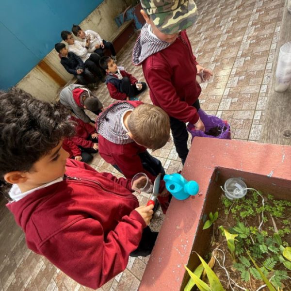 re_20250210075224-a87ff679a2f3e71d9181a67b7542122c