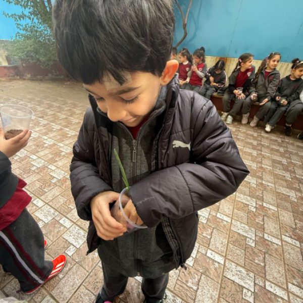 re_20250210075224-c4ca4238a0b923820dcc509a6f75849b