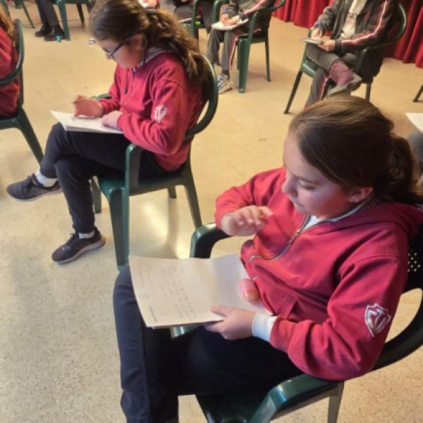 re_20250221113905-eccbc87e4b5ce2fe28308fd9f2a7baf3