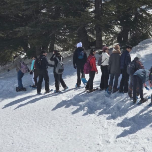 re_20250312061839-a87ff679a2f3e71d9181a67b7542122c