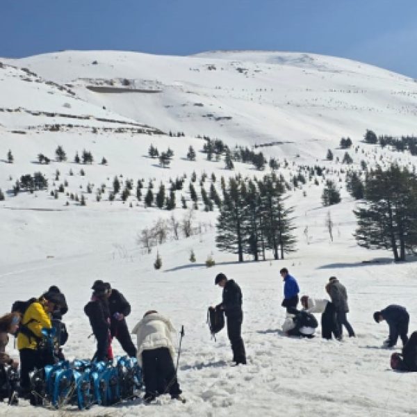 re_20250312061839-cfcd208495d565ef66e7dff9f98764da