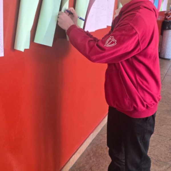 re_20250318120422-a87ff679a2f3e71d9181a67b7542122c