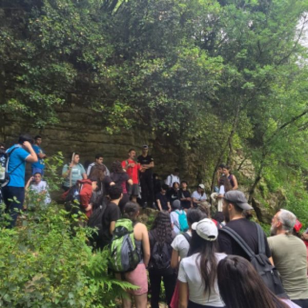 re_20250430051638-c4ca4238a0b923820dcc509a6f75849b