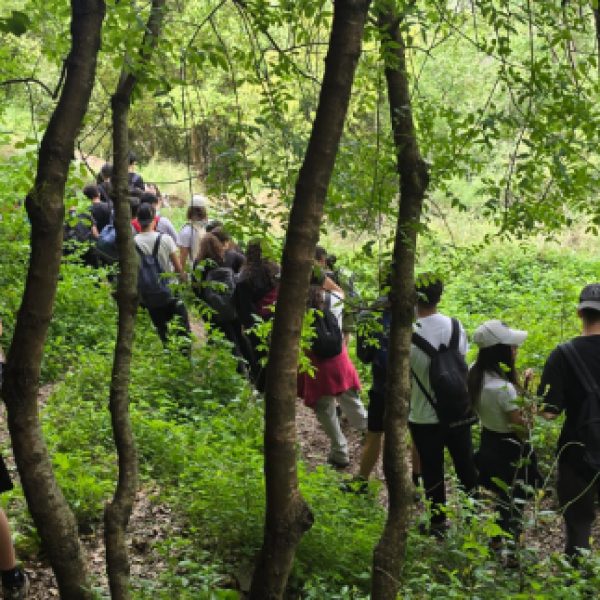 re_20250430051638-cfcd208495d565ef66e7dff9f98764da