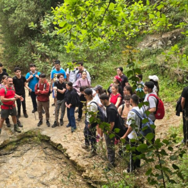 re_20250430051639-a87ff679a2f3e71d9181a67b7542122c