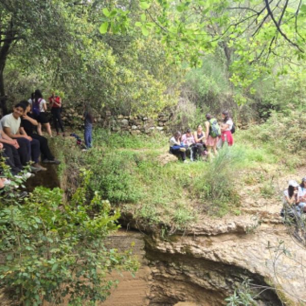 re_20250430051639-c81e728d9d4c2f636f067f89cc14862c