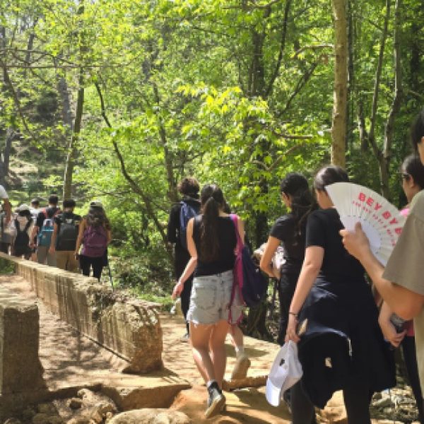 re_20250430051815-c9f0f895fb98ab9159f51fd0297e236d