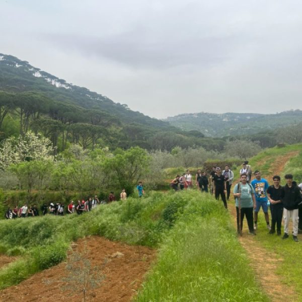 re_20250430051938-c81e728d9d4c2f636f067f89cc14862c