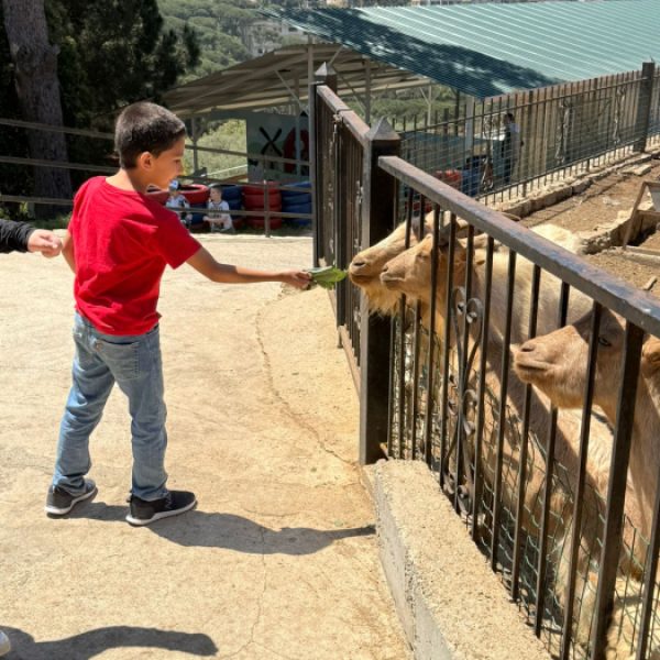 re_20250508054251-e4da3b7fbbce2345d7772b0674a318d5