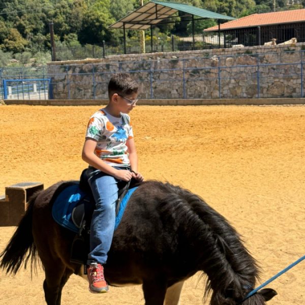 re_20250508054251-eccbc87e4b5ce2fe28308fd9f2a7baf3