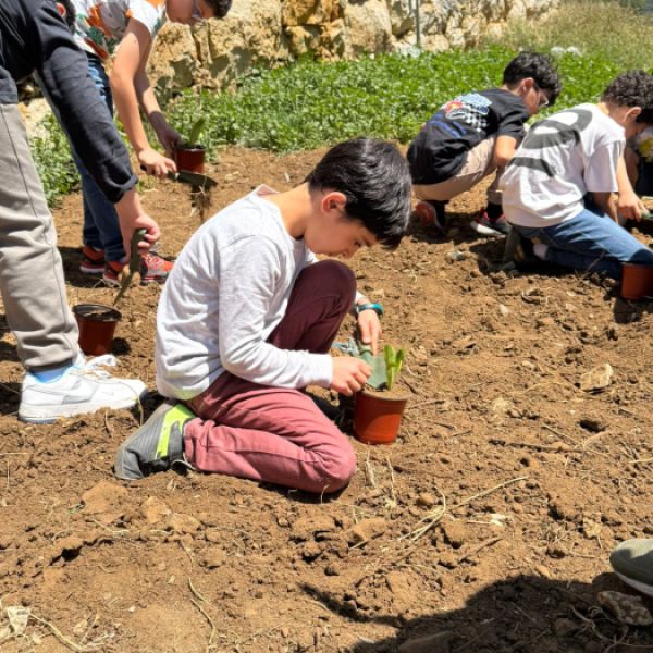 re_20250508054252-45c48cce2e2d7fbdea1afc51c7c6ad26