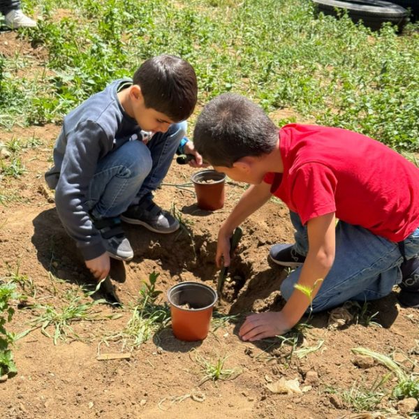 re_20250508054252-8f14e45fceea167a5a36dedd4bea2543