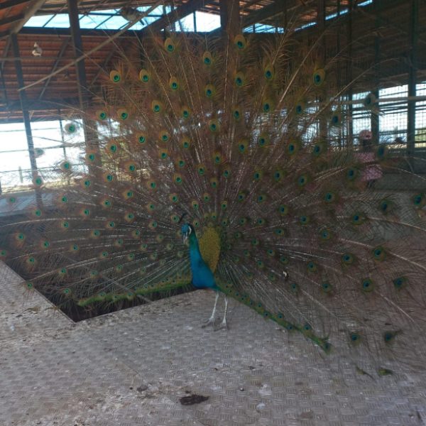 re_20250508054343-e4da3b7fbbce2345d7772b0674a318d5