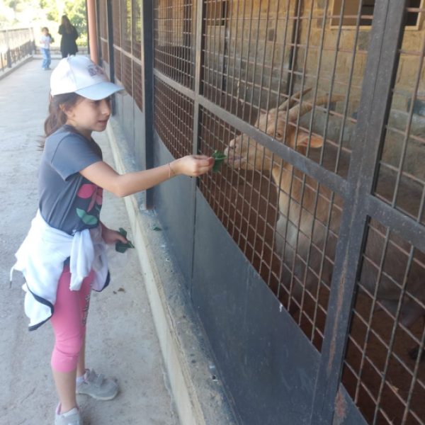 re_20250508054343-eccbc87e4b5ce2fe28308fd9f2a7baf3