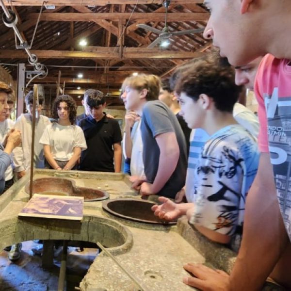 re_20250522053358-a87ff679a2f3e71d9181a67b7542122c