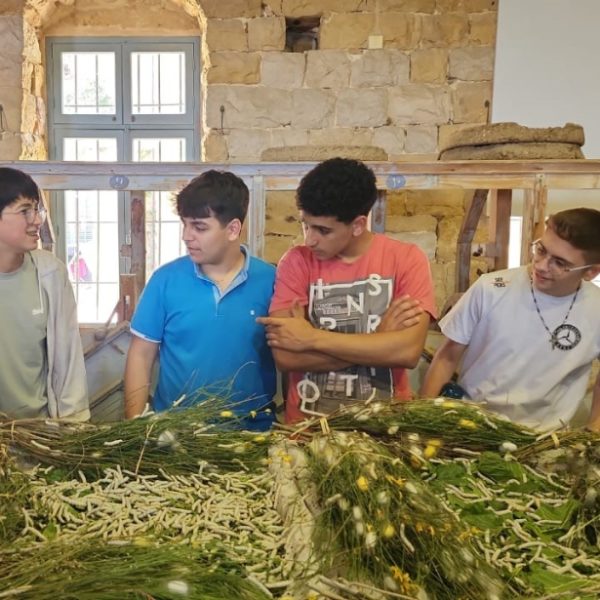 re_20250522053358-c81e728d9d4c2f636f067f89cc14862c